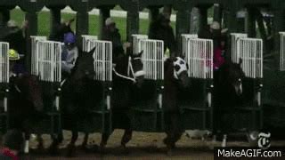 horse racing gif|horse race meme.